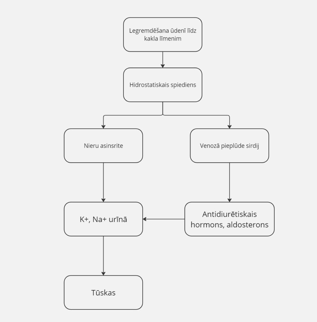 Hidrostatiskā spiediena darbības mehānisms